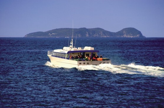 Stewart Island Ferry & Coach - Stewart Island to Invercargill