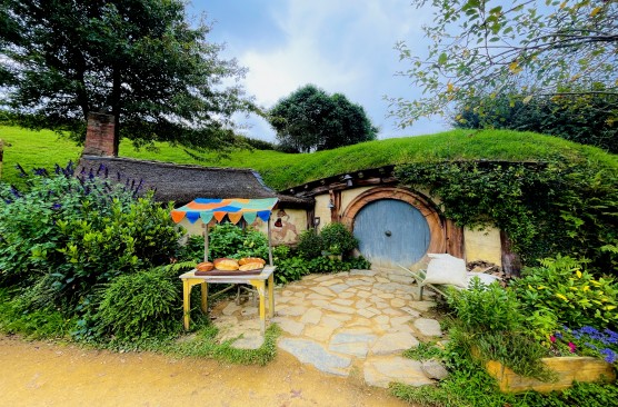 Hobbiton Movie Set and Buffet Lunch (Auckland-Auckland)
