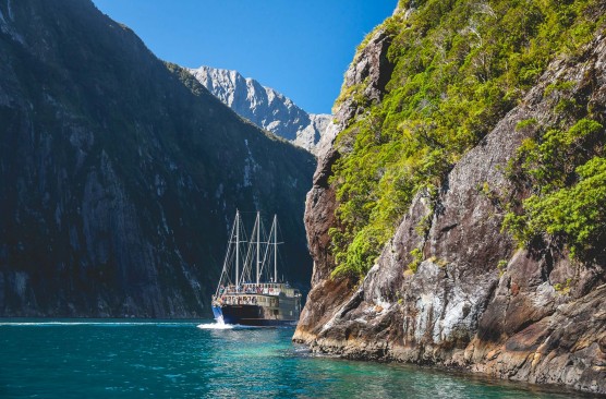 Milford Sound Cruise -
