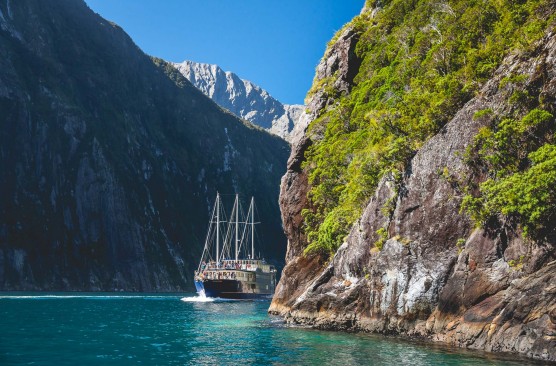 Milford Sound Cruise - 